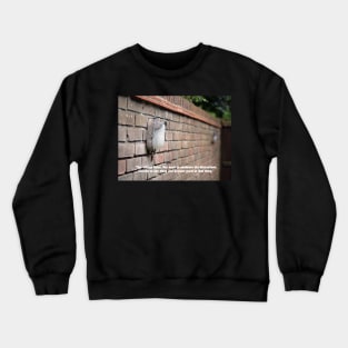 How should I focus? Crewneck Sweatshirt